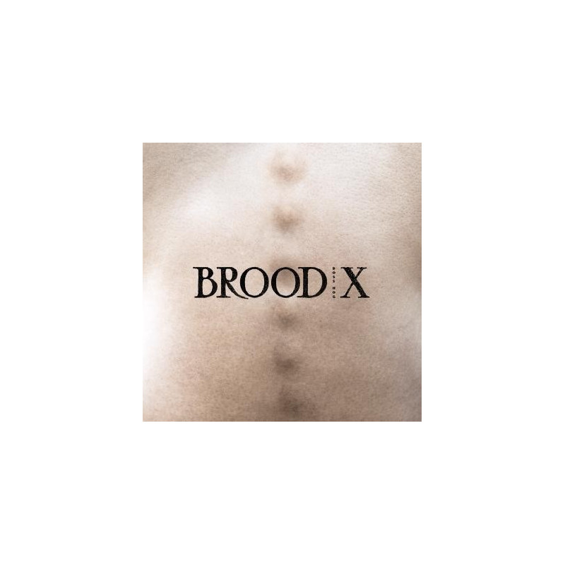 BROOD X
