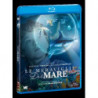 LE MERAVIGLIE DEL MARE (2D - 3D) BLU RAY DISC