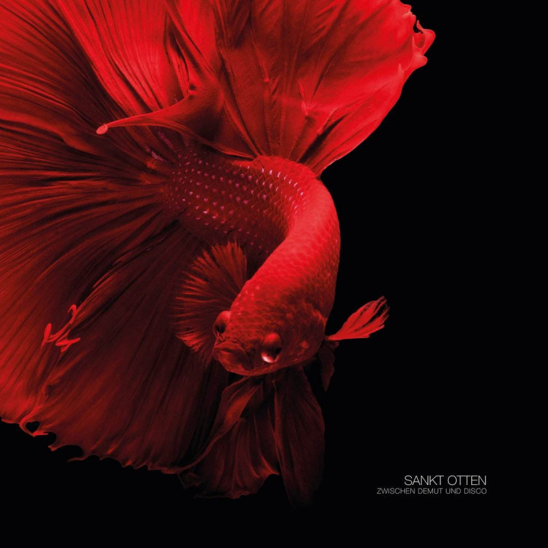 ZWISCHEN DEMUT UND DISCO