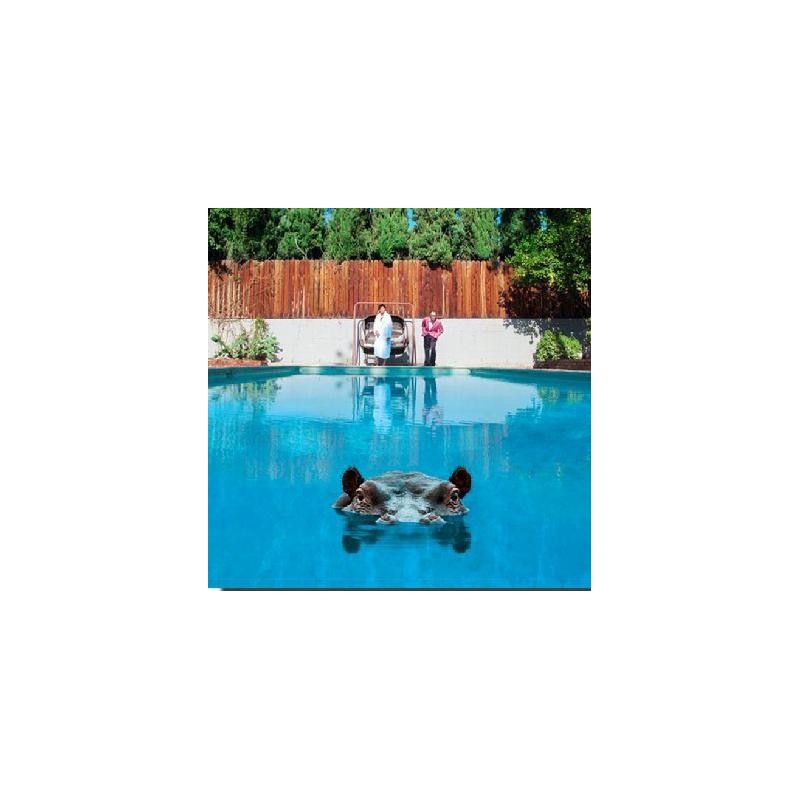 HIPPOPOTAMUS