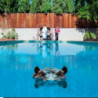 HIPPOPOTAMUS