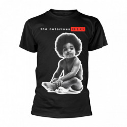 NOTORIOUS B.I.G.,THE BABY TS