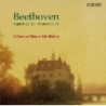 SETTIMINO OP.20, SESTETTO OP.71