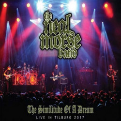 THE SIMILITUDE OF A DREAM, TILBURG 2017