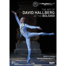 THE ART OF DAVID HALLBERG...