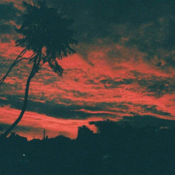 ALISO