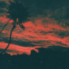 ALISO