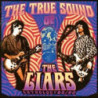 THE TRUE SOUND OF THE LIARS - ANTHOLOGY