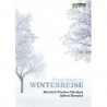 WINTERREISE (D 911)