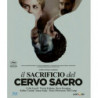 IL SACRIFICIO DEL CERVO SACRO - BLU-RAY