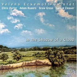 IN THE SHADOW OF A CLOUD (2CD)