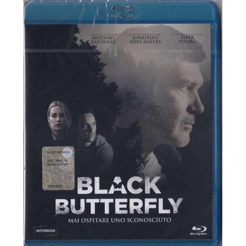 BLACK BUTTERFLY