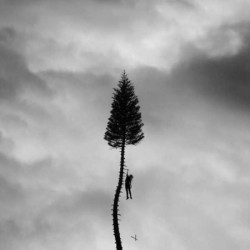 A BLACK MILE TO THE SURFAC