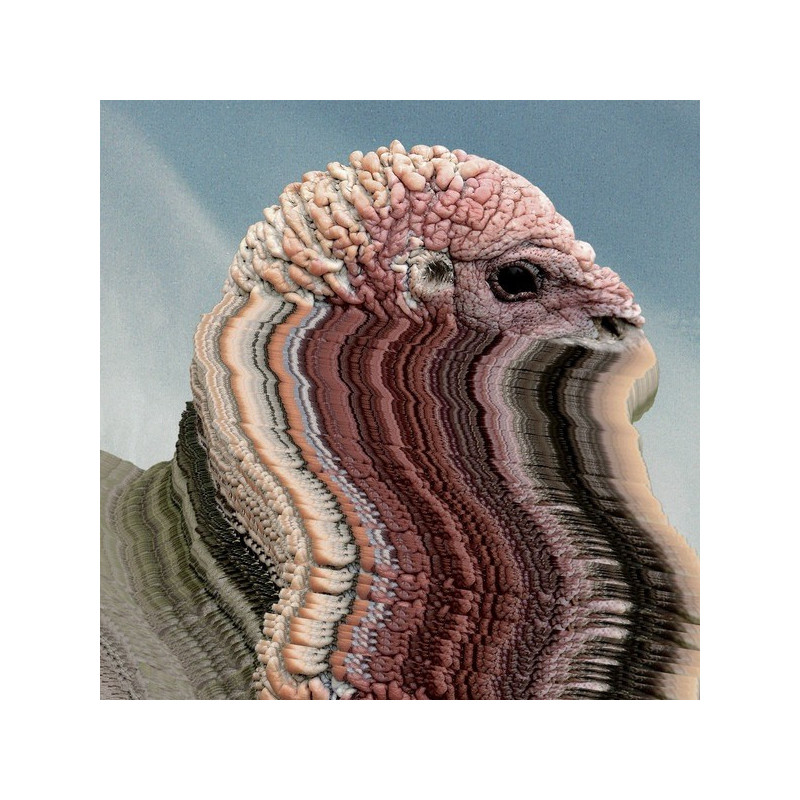 BIRD BRAINS