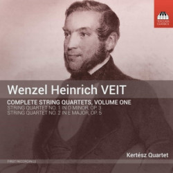 QUARTETTO PER ARCHI N.1...