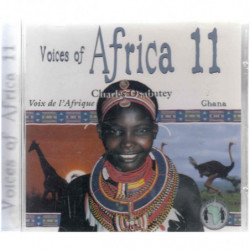 AFRICA 11