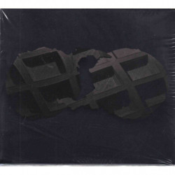 DIRTY PROJECTORS