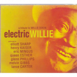 ELECTRIC WILLIE - A TRIBUTE...