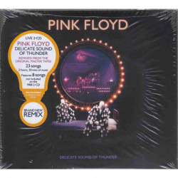 DELICATE SOUND OF THUNDER (2CD