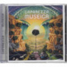 MUSEICA