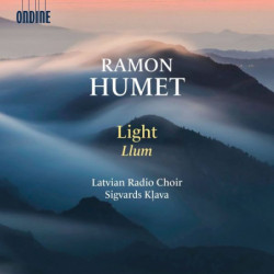 LIGHT LLUM