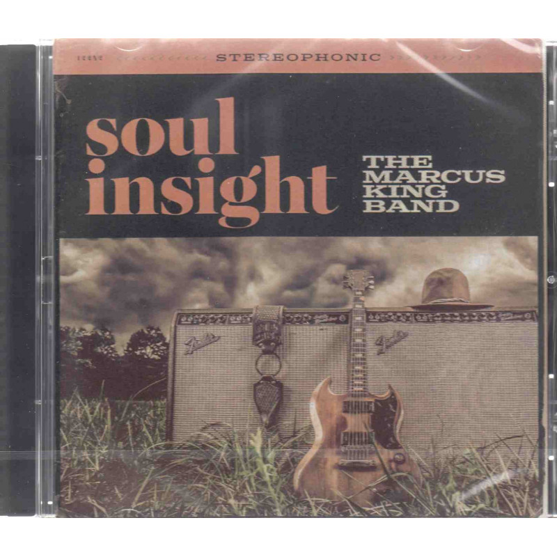 SOUL INSIGHT