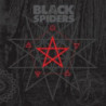 BLACK SPIDERS