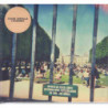 LONERISM