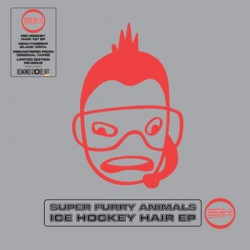 ICE HOCKEY HAIR EP 12"...
