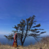 MONASTIC LOVE SONGS
