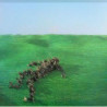 BRIGHT GREEN FIELD