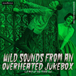 WILD SOUNDS FROM AN...