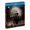 GOTHAM S5 (BS)