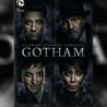 GOTHAM S1 (DS)