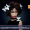 CONCERTI PER  VIOLINO IX -LE NUOVE  VIE-