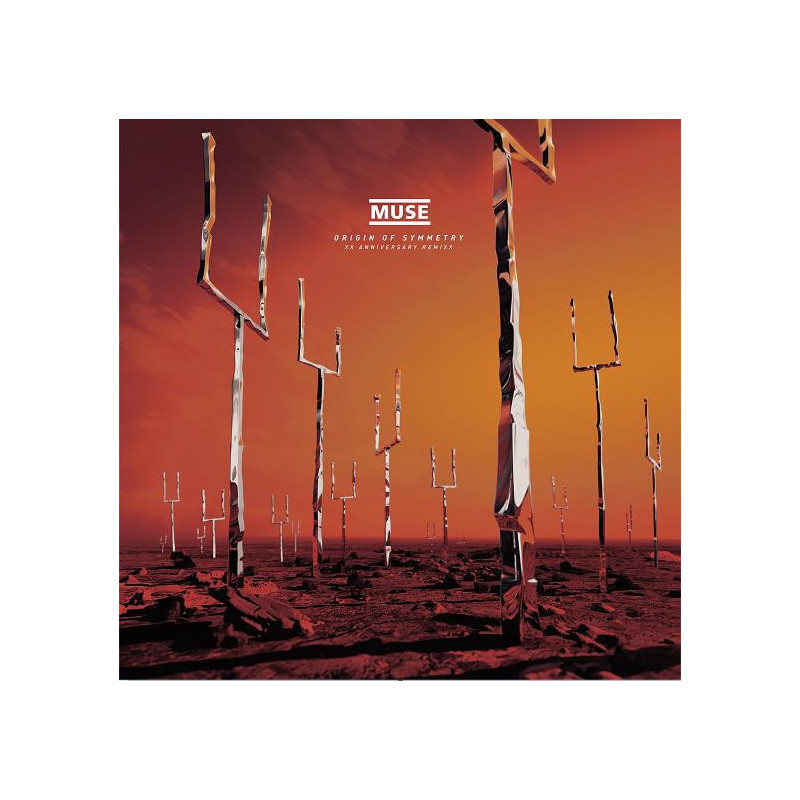 ORIGIN OF SYMMETRY (XX ANNIVER
