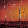 ORIGIN OF SYMMETRY (XX ANNIVER