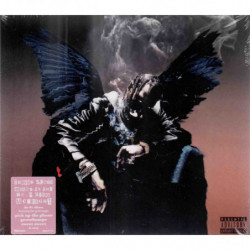 BIRDS IN THE TRAP SING...