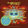 RINGS AROUND THE WORLD (20TH ANNIVERSARY EDITION)