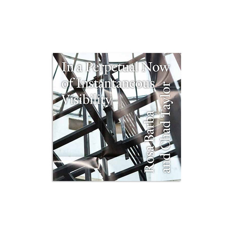 IN A PERPETUAL NOW OF INSTANTANEOUS VISI