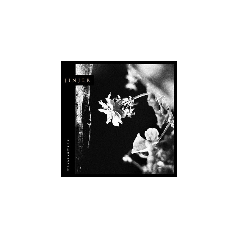 WALLFLOWERS