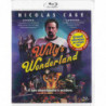 WILLY'S WONDERLAND BLU RAY DISC