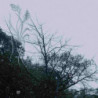 RAIN [LTD.ED. SMOKE GREEN VINYL]