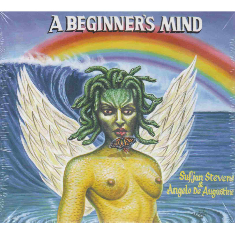 A BEGINNER S MIND