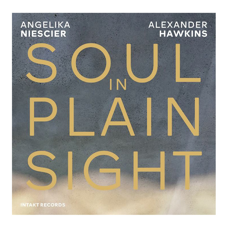 SOUL IN PLAIN SIGHT