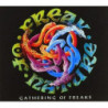 GATHERING OF FREAKS