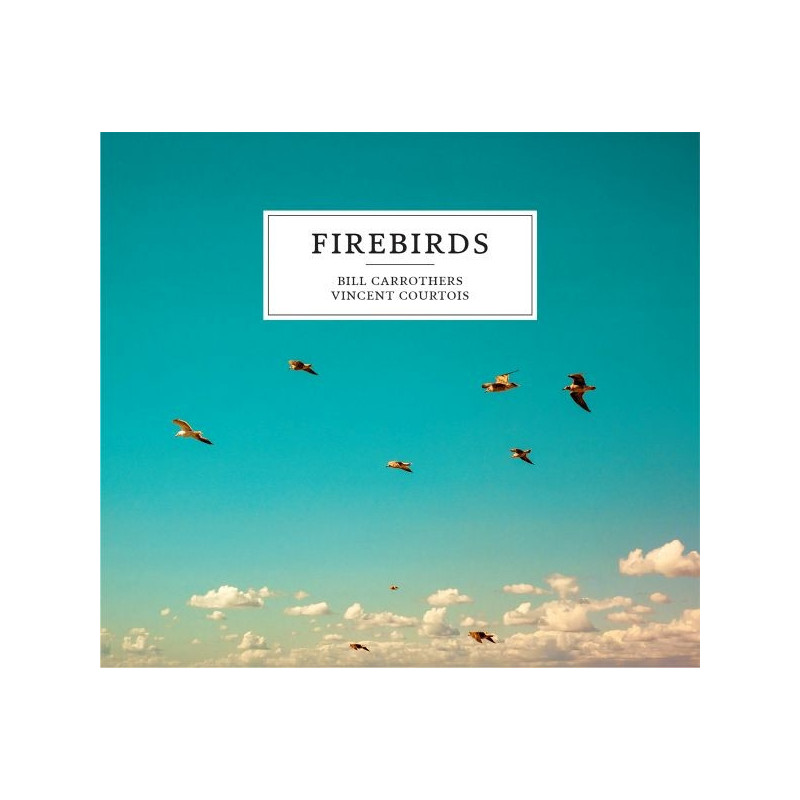 FIREBIRDS