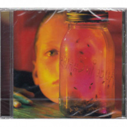JAR OF FLIES