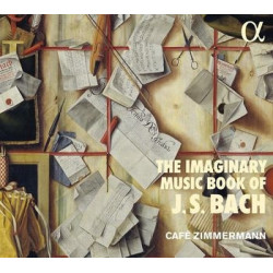 THE IMAGINARY MUSIC  BOOK...