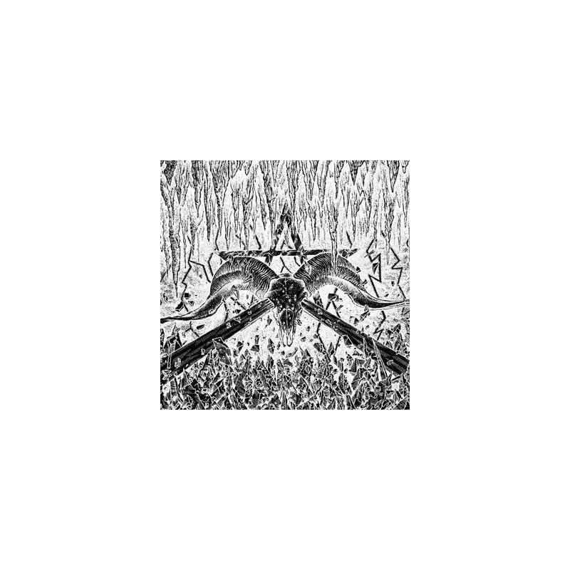 SPIT FORTH FROM CHAOS